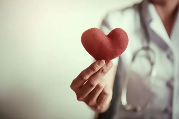 Close-up of a doctor's hand holding a plush heart