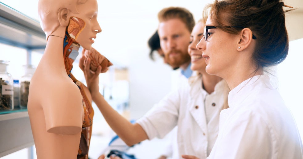 A group of nurse practitioners in training using a human anatomy model