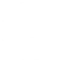 #5