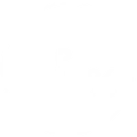 15%